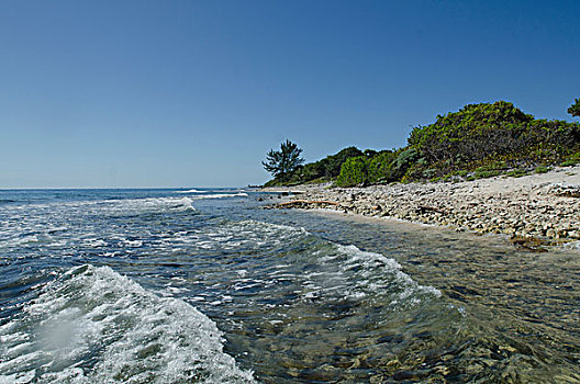 波浪,海滩,乌托邦,乡村,海湾群岛,洪都拉斯