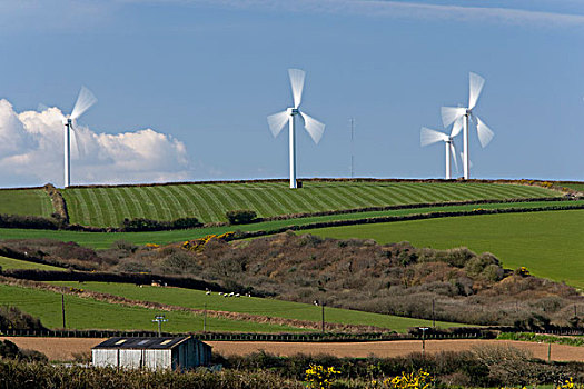 风电场,康沃尔,英国