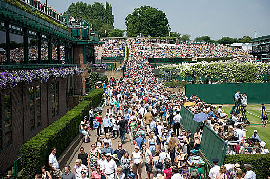 英格兰,伦敦,温布尔登,人群,走,球场,网球,冠军