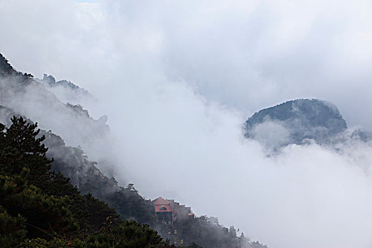 山,云海,雾