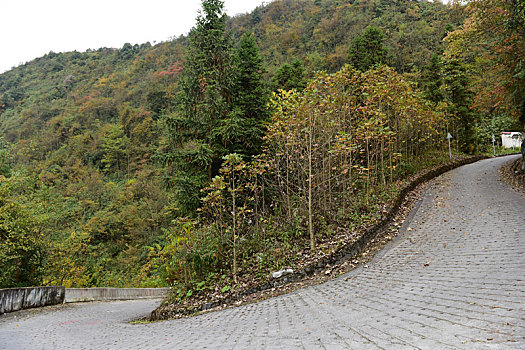 农村山区道路