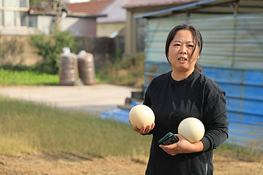 一枚蛋卖188元,36岁女子靠一群鸟发家致富