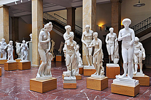 阿芙罗狄蒂,博物馆,古典,雕塑,慕尼黑,巴伐利亚,德国,欧洲