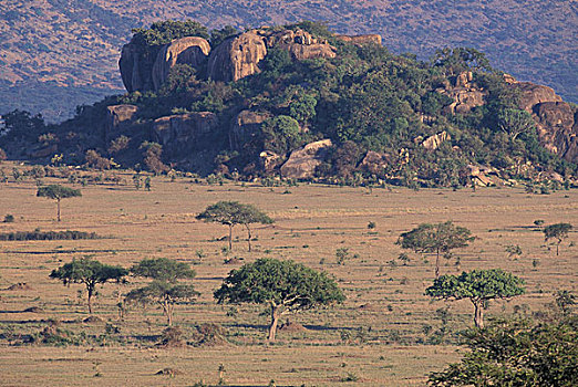 非洲,坦桑尼亚,塞伦盖蒂国家公园,风景