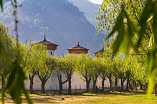 墙壁,策秋庆典,城堡,不丹