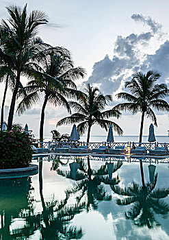 棕榈树,游泳池,酒店,毛里求斯