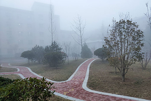 河南滑县,早晨大雾,能见度不足百米