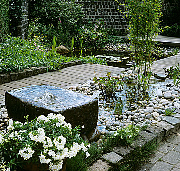 花园,喷泉,水塘