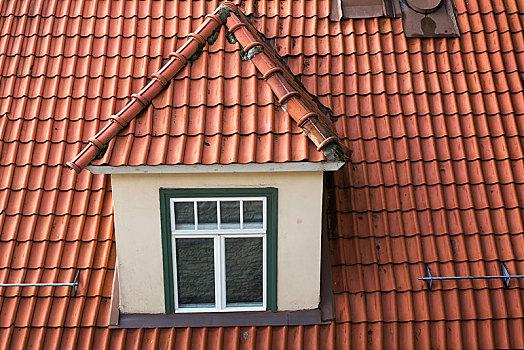 俯视,屋顶窗,老,赤陶,屋顶,住宅,公寓楼,塔林,爱沙尼亚,欧洲