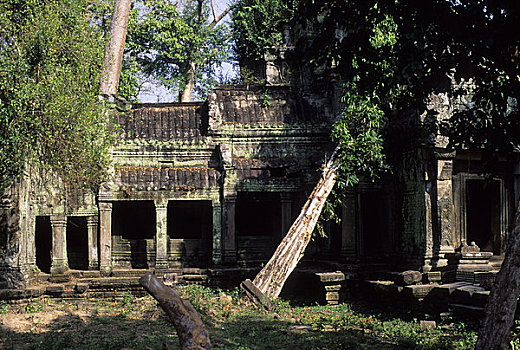 柬埔寨,吴哥,塔普伦寺,庙宇,繁茂,植被