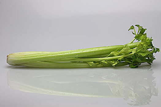 芹菜棚拍特写