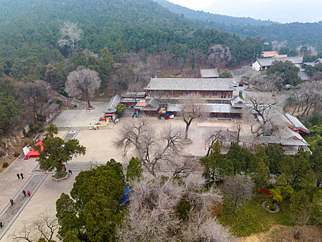 济南灵岩寺