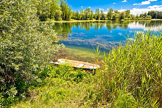 湖,绿色,风景
