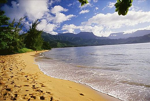 夏威夷,考艾岛,湾,胜地,脚印