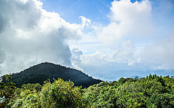 巴拿山上的风景