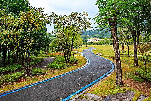 东钱湖,自行车,游步道,曲线,道路