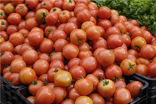 成熟,西红柿,市场货摊,法国