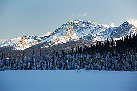 阳光,背景,积雪,湖,常青树,蓝天,艾伯塔省,加拿大