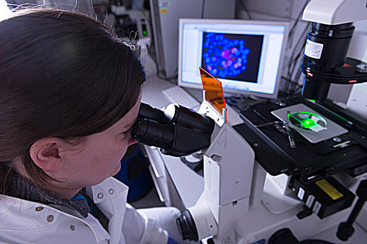 癌症研究,实验室,女性,科学家,学习,电子,显微镜