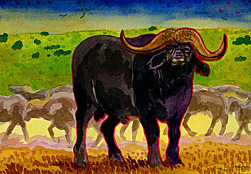 非洲,南非水牛,水彩画