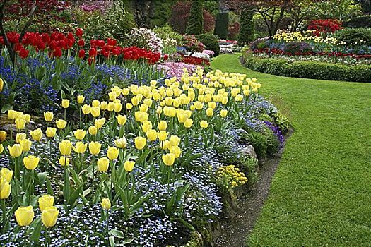 花,宝翠花园,维多利亚,不列颠哥伦比亚省,加拿大
