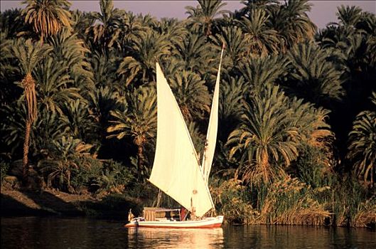 埃及,尼罗河流域,三桅小帆船,尼罗河,河