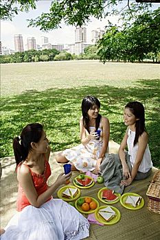 三个女人,公园,野餐