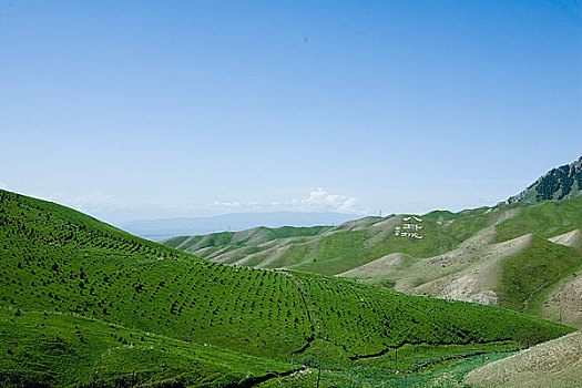 新疆伊犁地区－特克斯风光