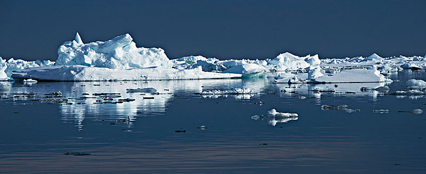 漂浮,冰,北极圈,海洋,斯匹次卑尔根岛,斯瓦尔巴特群岛,挪威