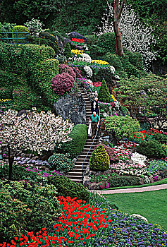 宝翠花园,春花,展示,岩石上,花园,维多利亚,温哥华岛,不列颠哥伦比亚省,加拿大