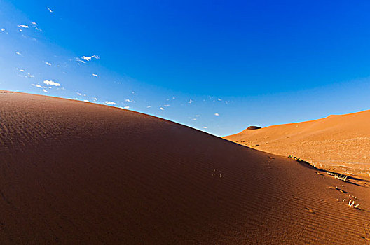 沙丘,納米比諾克陸夫國家公園,納米布沙漠,索蘇維來地區,區域,納米比亞,非洲