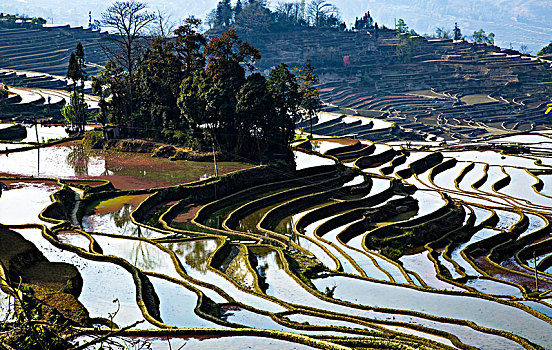 元阳哈尼梯田