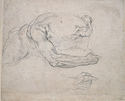 学习,一个,男人,上升,地面,16世纪,艺术家,米开朗基罗