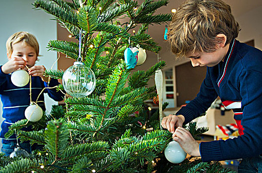 男孩,装饰,圣诞树,小玩意,在家
