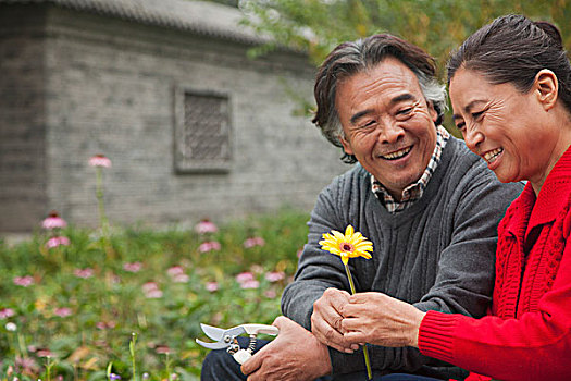 高興,老年,夫妻,花
