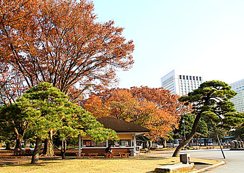 日本皇居广场