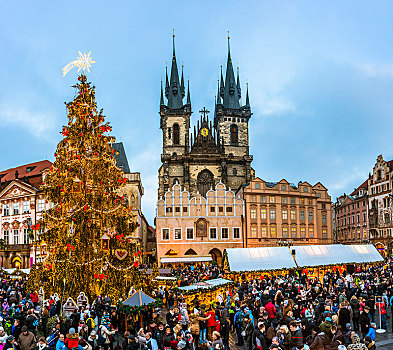 大教堂,圣诞市场,老城广场,布拉格,捷克共和国,欧洲