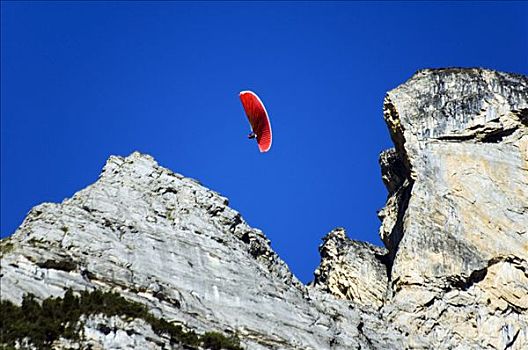 滑翔伞,高山,因特拉肯,山谷,少女峰,瑞士