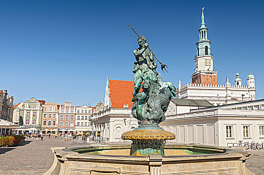 市政厅,海王星喷泉,市场,广场,波兹南,波兰