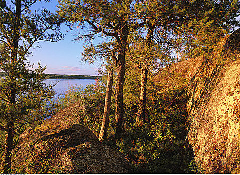 蓝莓,山,湖,怀特雪尔省立公园