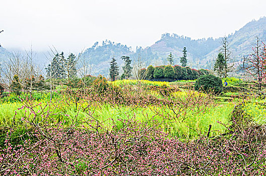 田园春色