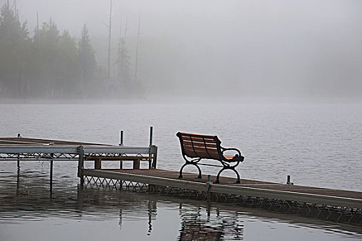 雾状,早晨,湖,滑铁卢,魁北克,加拿大