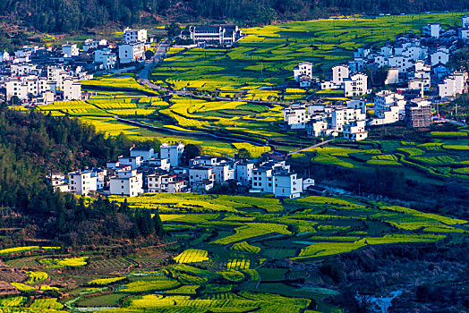 婺源江岭