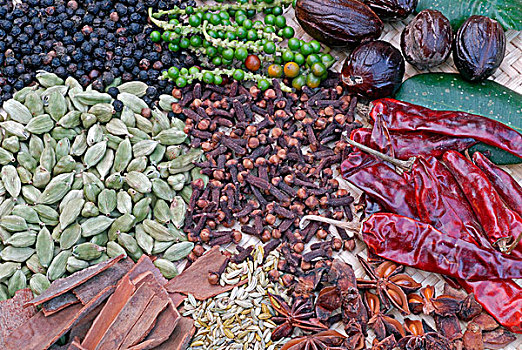 喀拉拉,调味品,黑胡椒,小豆蔻,桂皮,大料,丁香,印度南部,印度