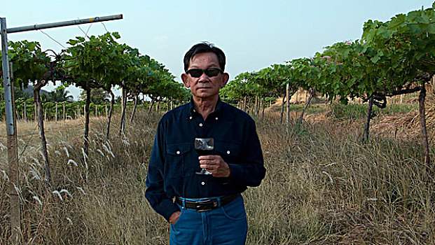 政治家,葡萄园,泰国,一月,2007年