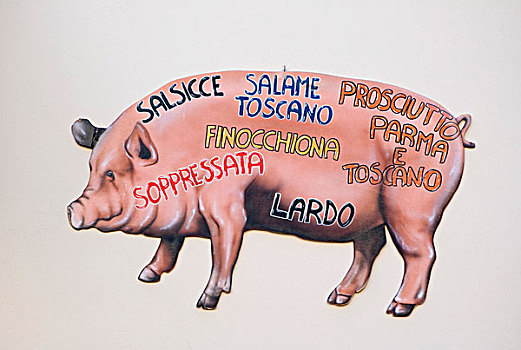 猪,广告牌,熟食店,托斯卡纳,意大利,欧洲