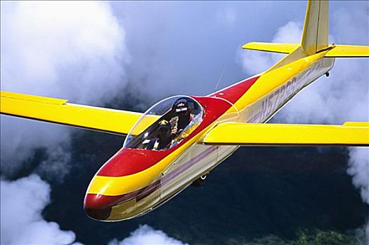 夏威夷,毛伊岛,黄色,滑翔机,两个,乘客