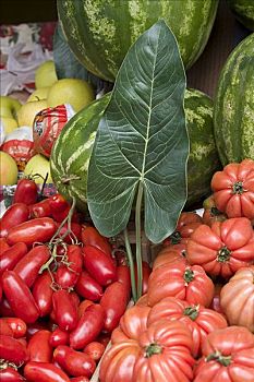 蔬菜,市场,米兰,意大利
