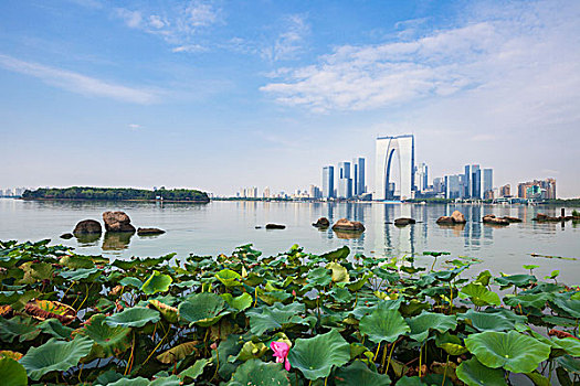 苏州金鸡湖美景