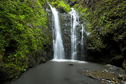夏威夷,毛伊岛,瀑布,靠近,茂密,山谷